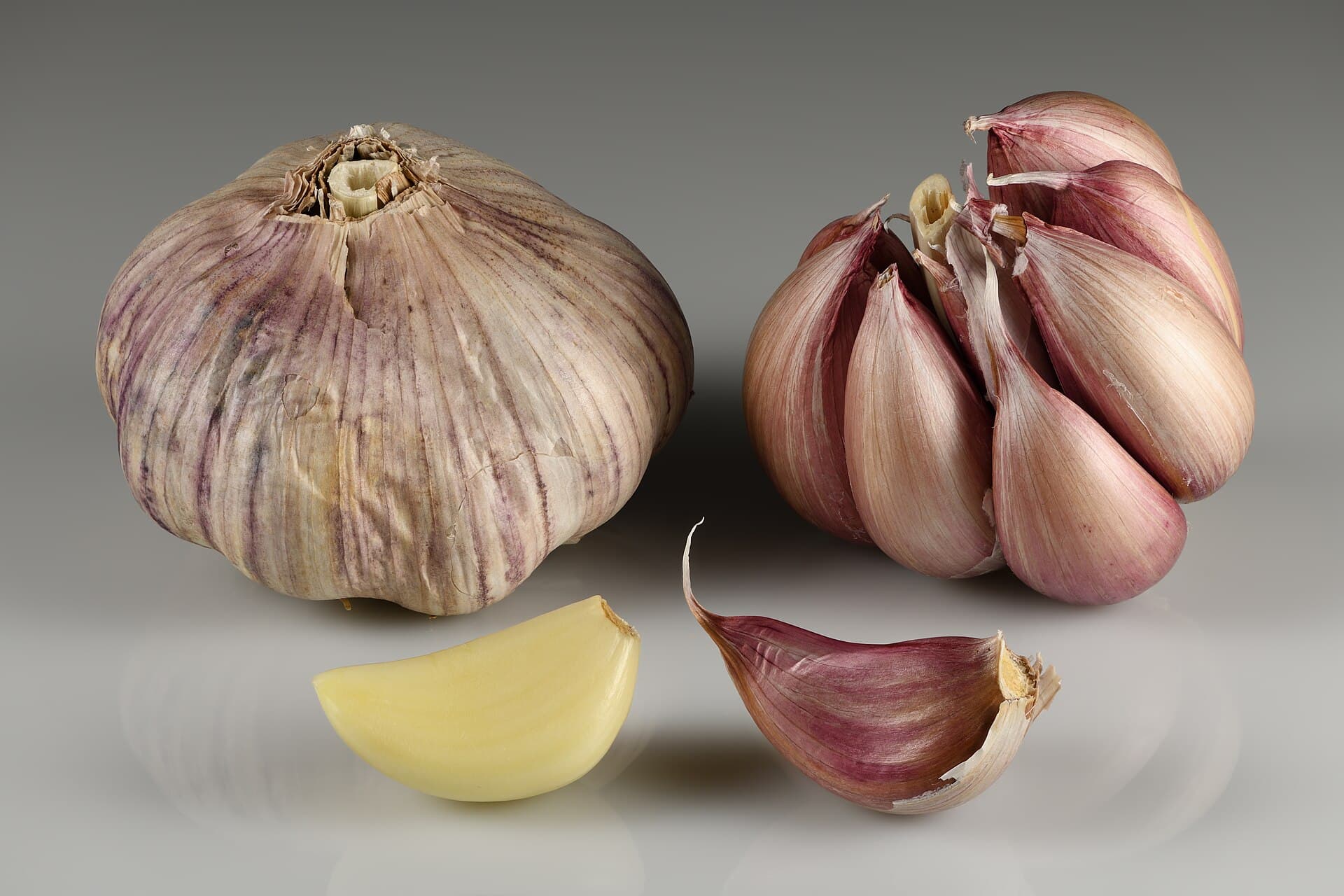 Plant Garlic Now: The Complete Guide