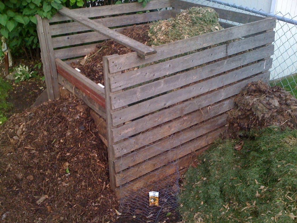 Best Compost Bins for Home Gardens