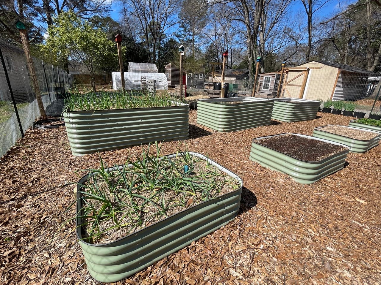 Square Foot Gardening: The Beginner's Complete Guide