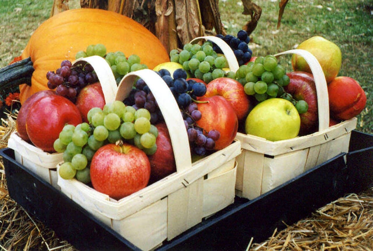 Fall Gardening: What to Plant in Autumn for a Second Harvest