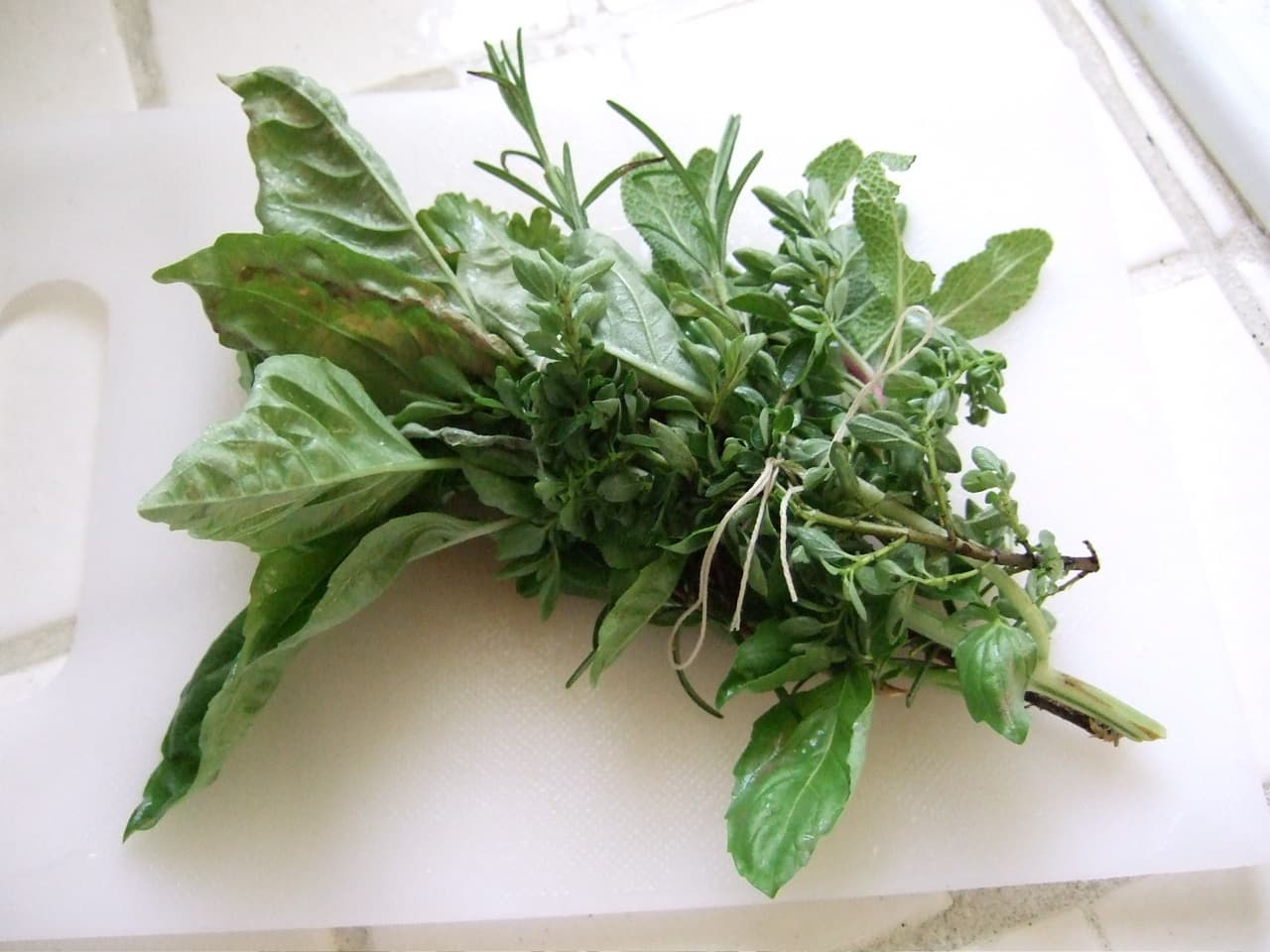 Starting an Herb Garden: The 8 Easiest Herbs to Grow at Home